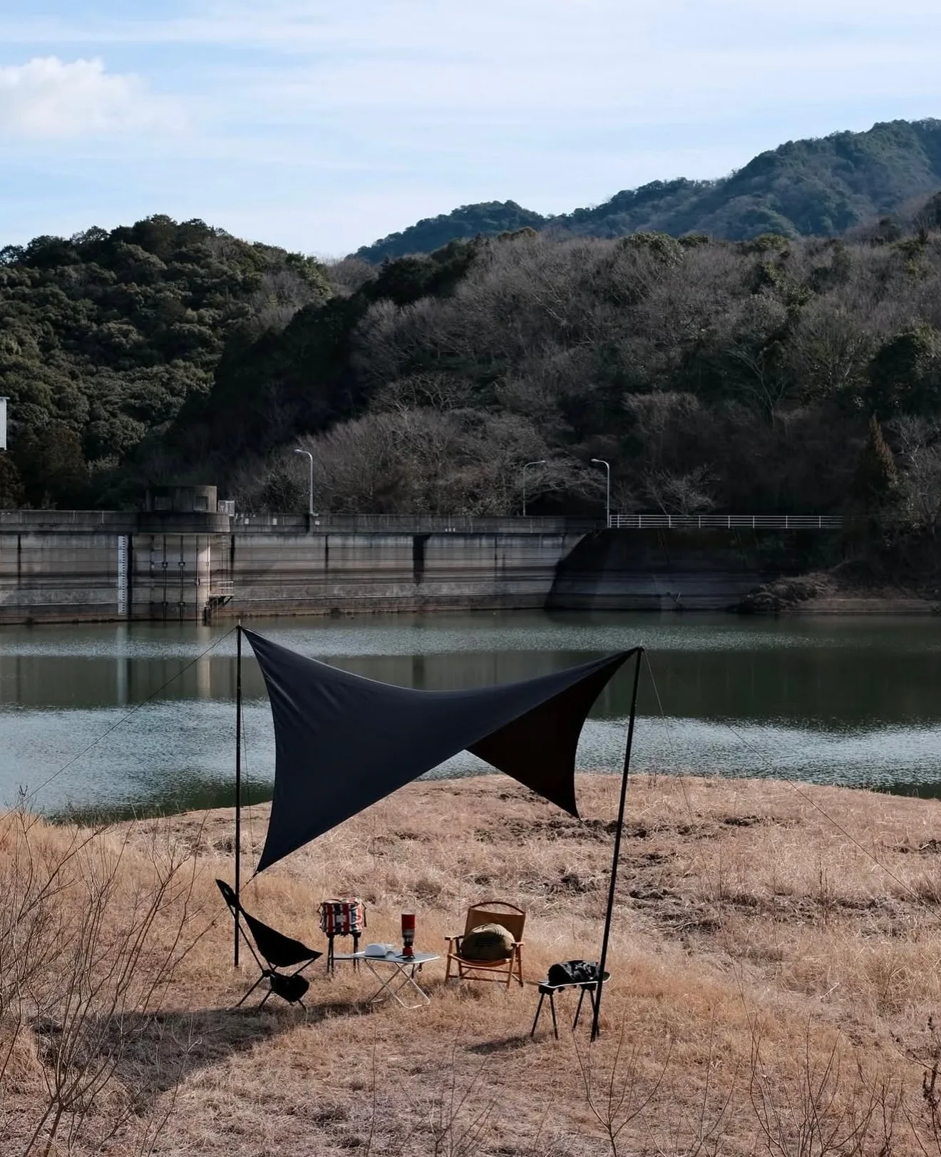 🇯🇵Telo Tarp Looks Black🇯🇵 - Image 11