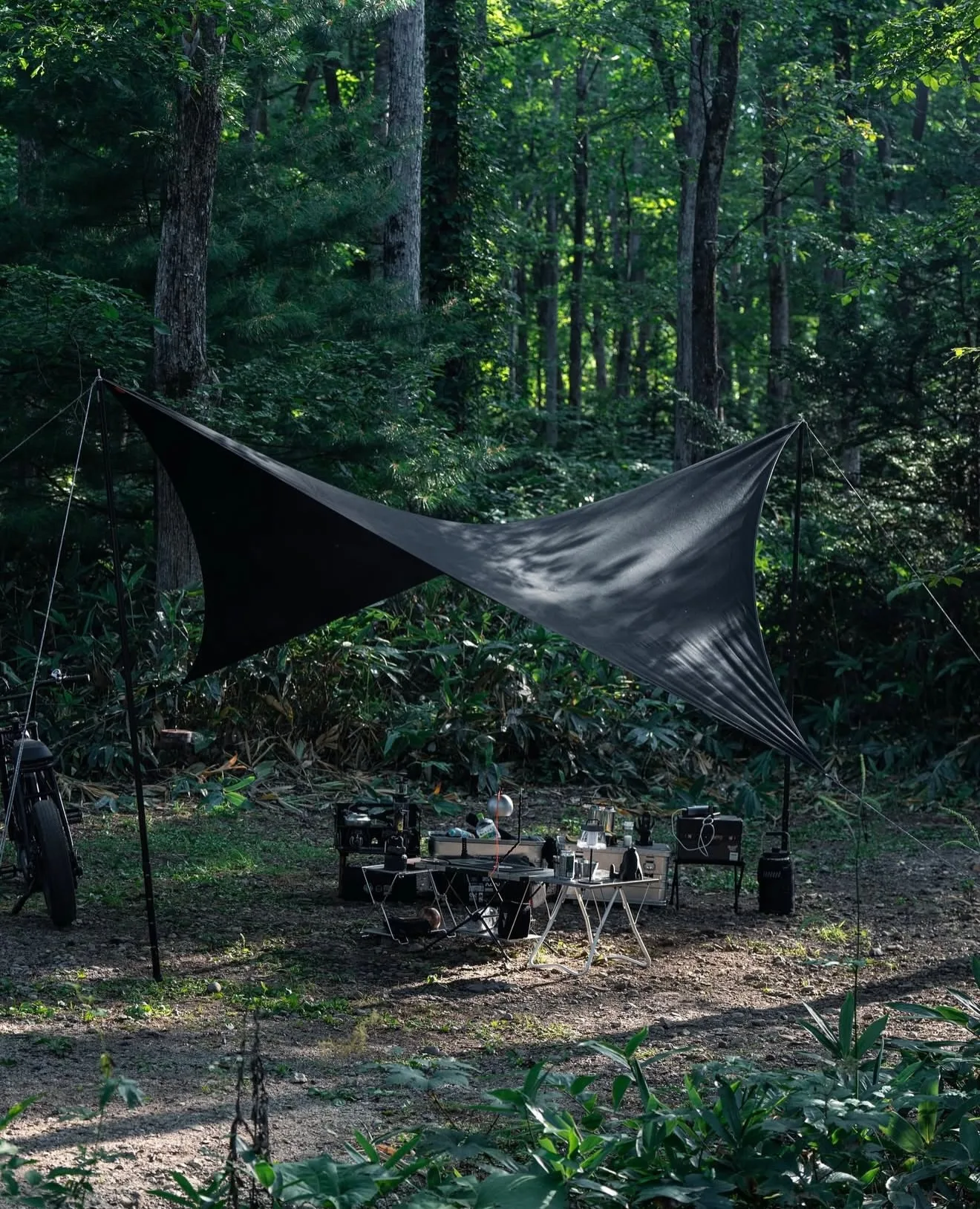 🇯🇵Telo Tarp Looks Black🇯🇵 - Image 4