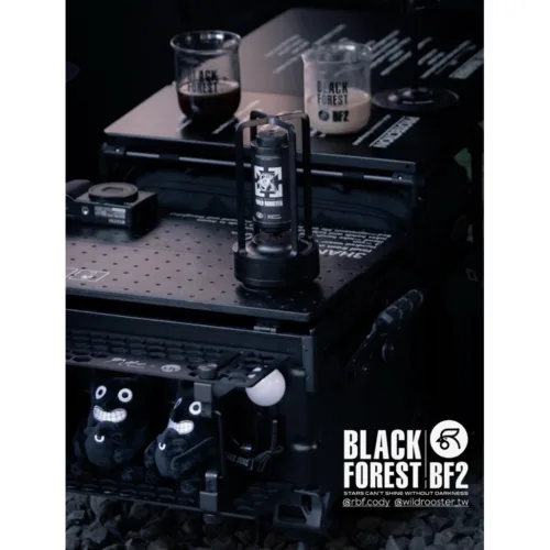 ❗️พร้อมส่ง❗️🇹🇼Wild Rooster × VINTAGE DUDE Blind Box Plush Keychain🇹🇼