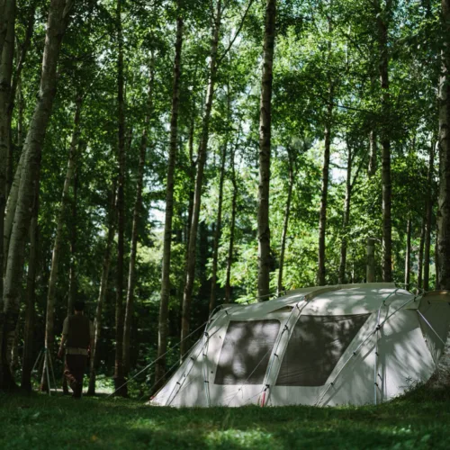 🇯🇵Snow Peak Landlock Ivory TP-671IV-FK 4-Person Beginner Shelter Tent🇯🇵