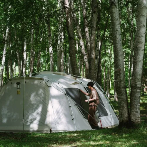 🇯🇵Snow Peak Landlock Ivory TP-671IV-FK 4-Person Beginner Shelter Tent🇯🇵
