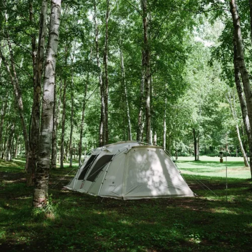 🇯🇵Snow Peak Landlock Ivory TP-671IV-FK 4-Person Beginner Shelter Tent🇯🇵