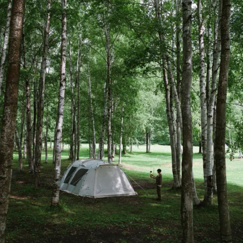 🇯🇵Snow Peak Landlock Ivory TP-671IV-FK 4-Person Beginner Shelter Tent🇯🇵