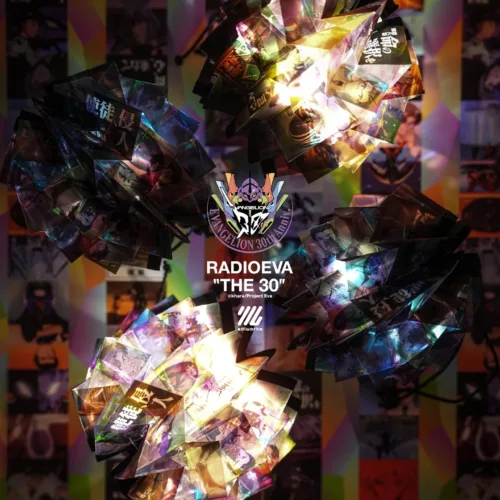 🇯🇵Solworks x RADIO EVA NEON GENESIS EVANGELION solol🇯🇵