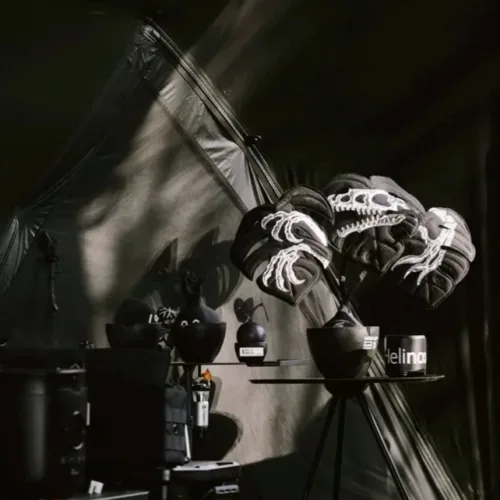 ‼️พร้อมส่ง‼️🇹🇼Double X HIWA Monstera Shade | Turtleback Taro - Vegetarian🇹🇼